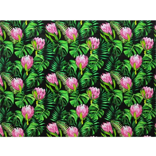 Protea-On-Black-Monstra.jpg