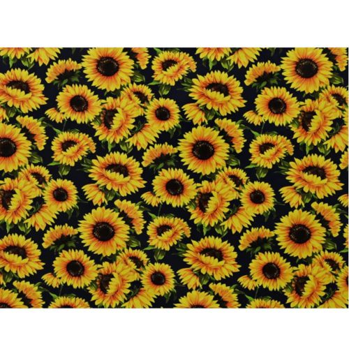 Sunflower-On-Black.jpg